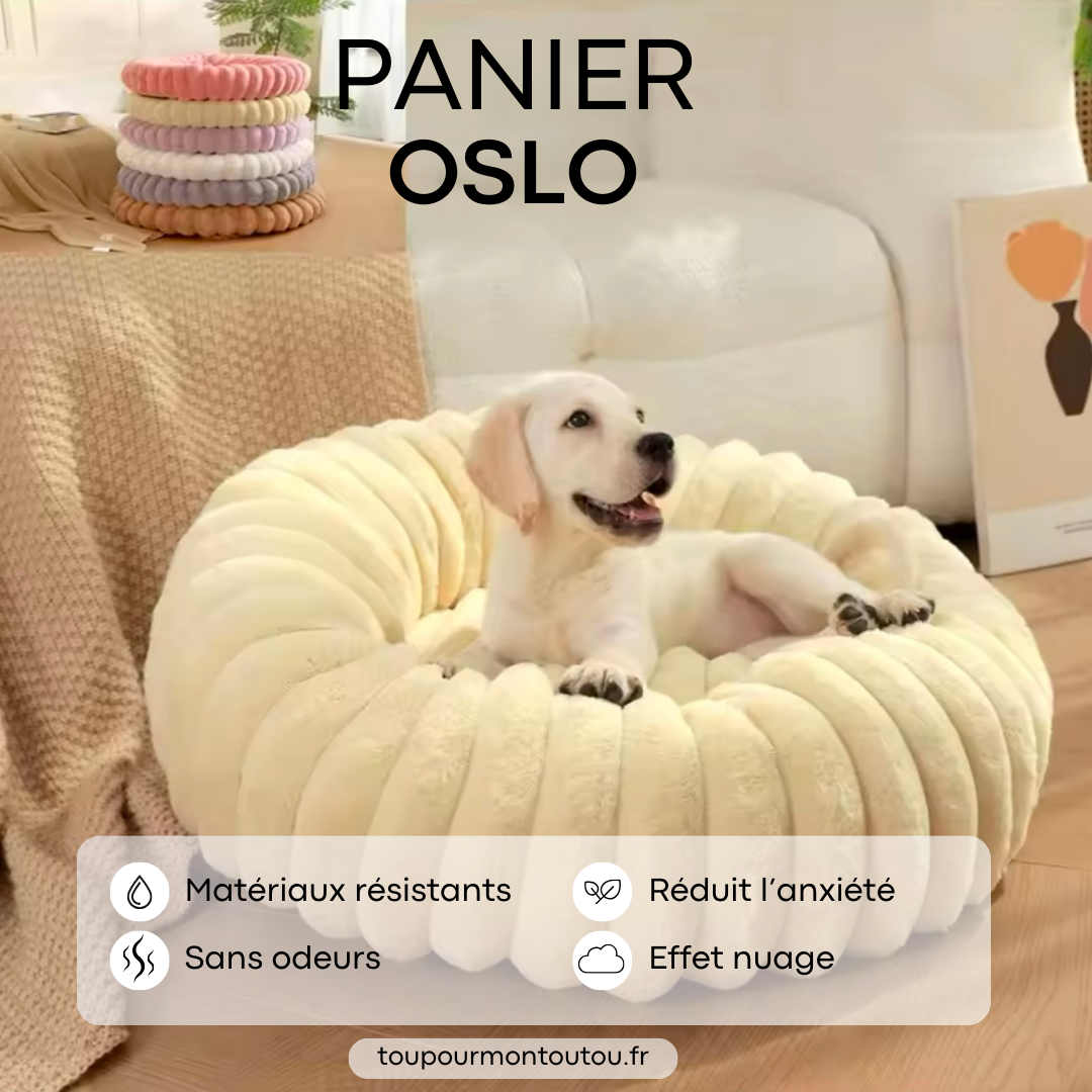 Panier Oslo