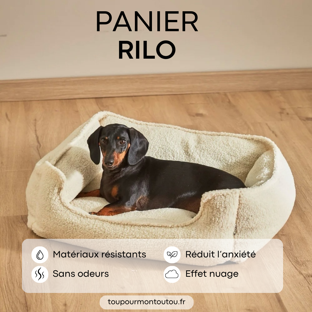 Panier Rilo