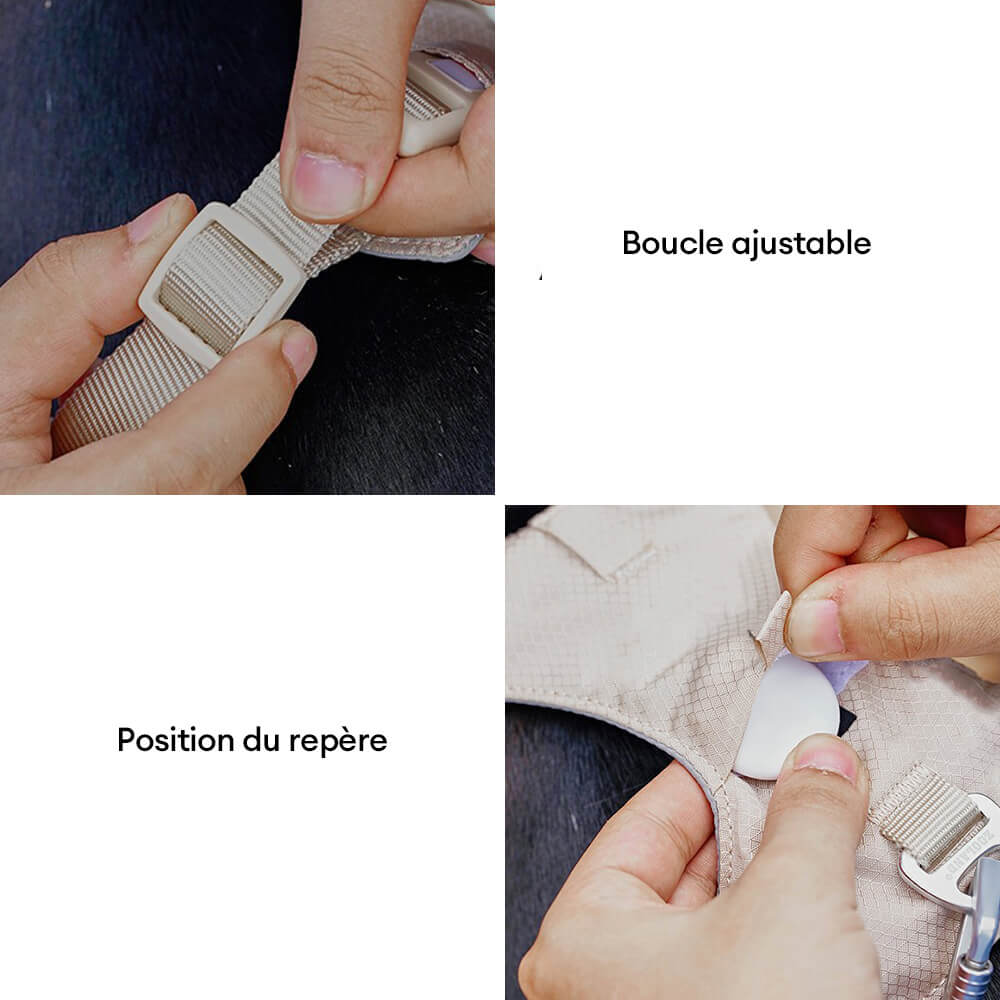 Harnais pour vos plus belles balades