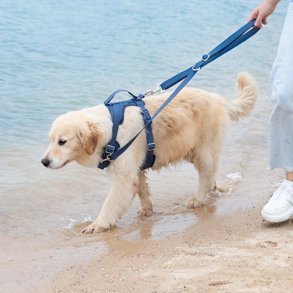 Ensemble de Promenade Sweety