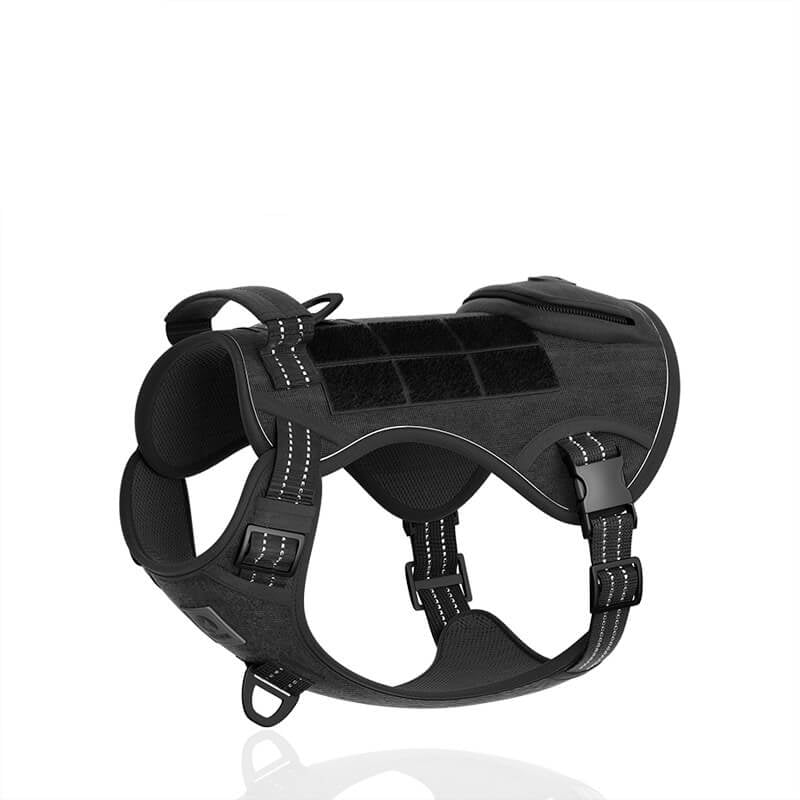 Harnais pour Chiens Sportifs