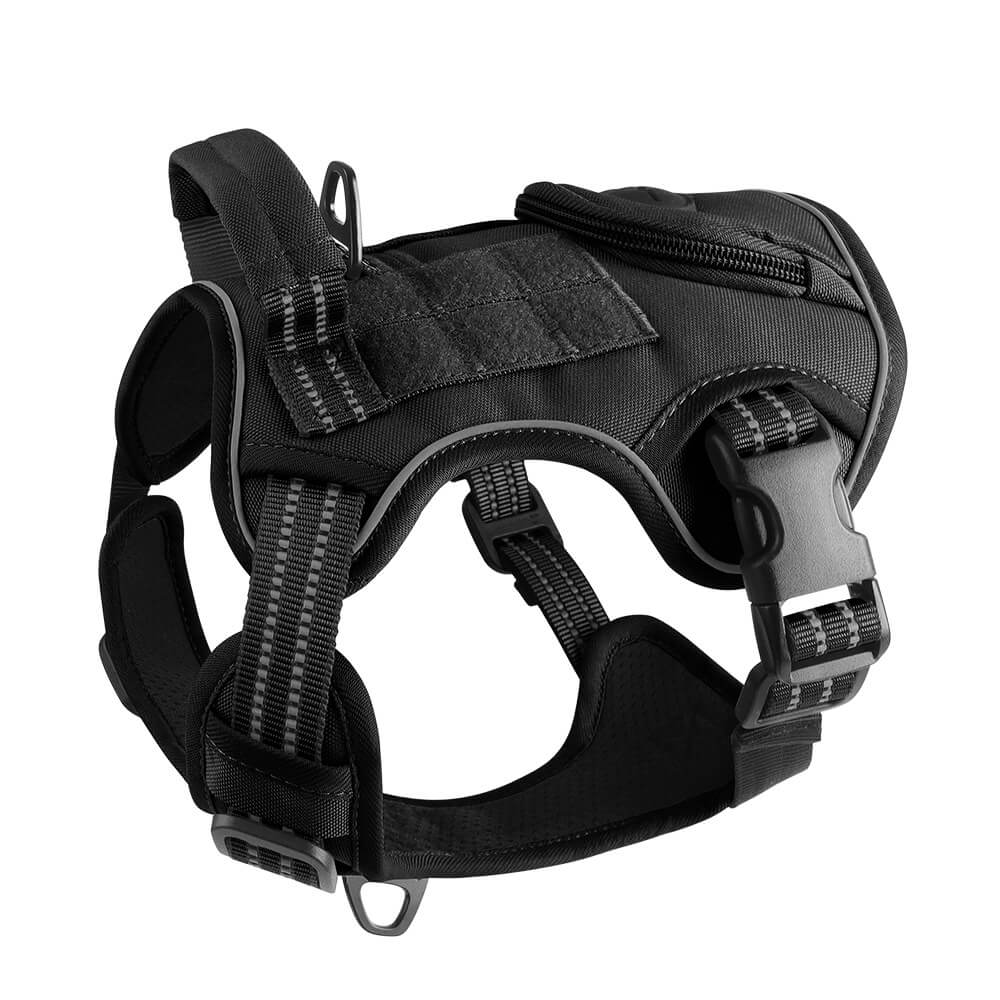 Harnais pour Chiens Sportifs