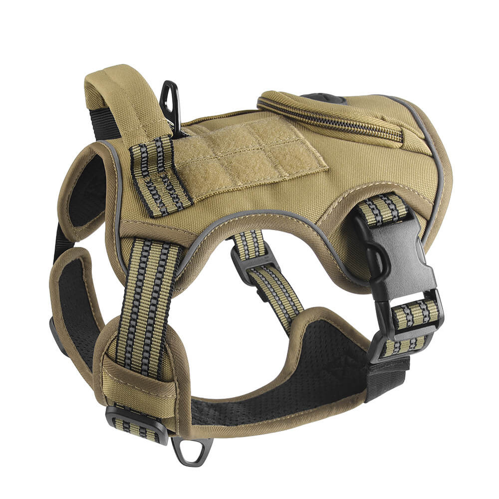 Harnais pour Chiens Sportifs