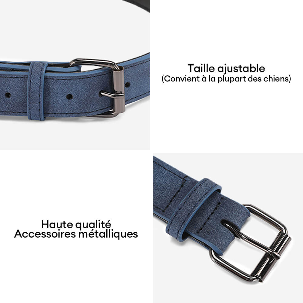 Laisse en Cuir Typo