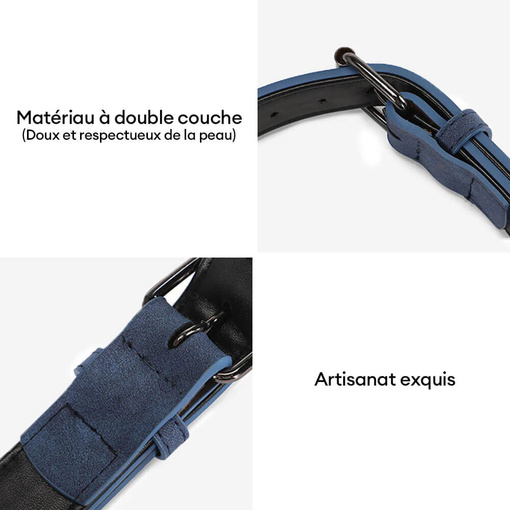 Laisse en Cuir Typo