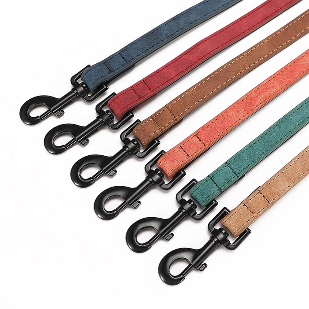 Laisse en Cuir Typo