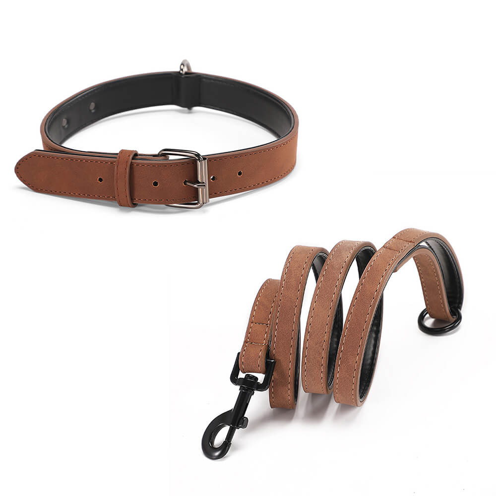 Laisse en Cuir Typo