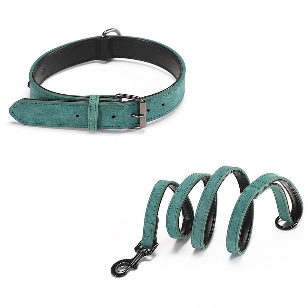 Laisse en Cuir Typo