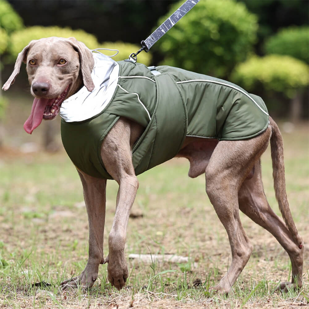 Veste Imperméable Sutshy