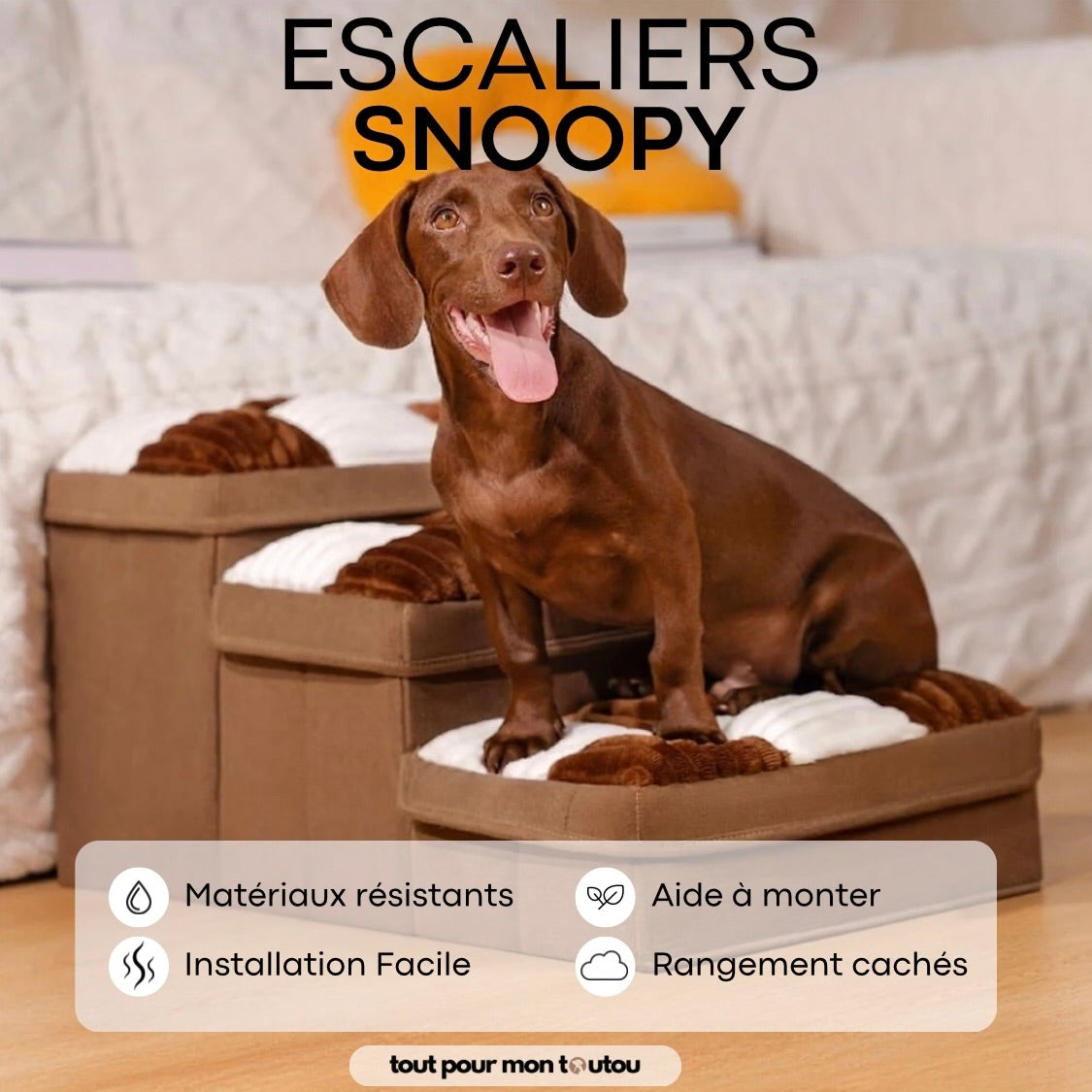 Escaliers Snoopy