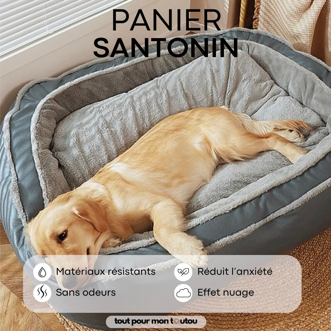 Panier Santonin