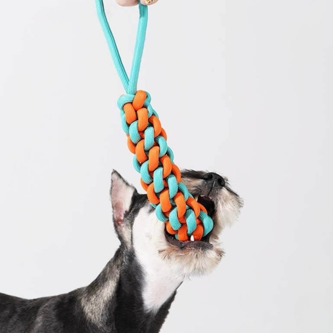 Jouets Corde
