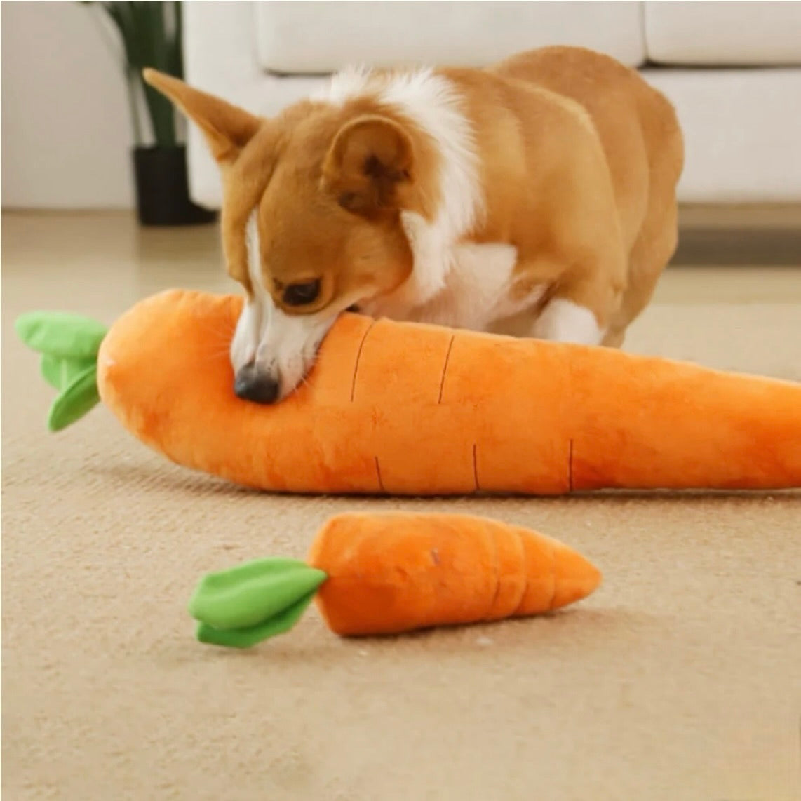 Jouet Peluche Carotte