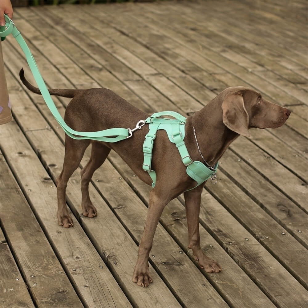Ensemble de Promenade Sweety