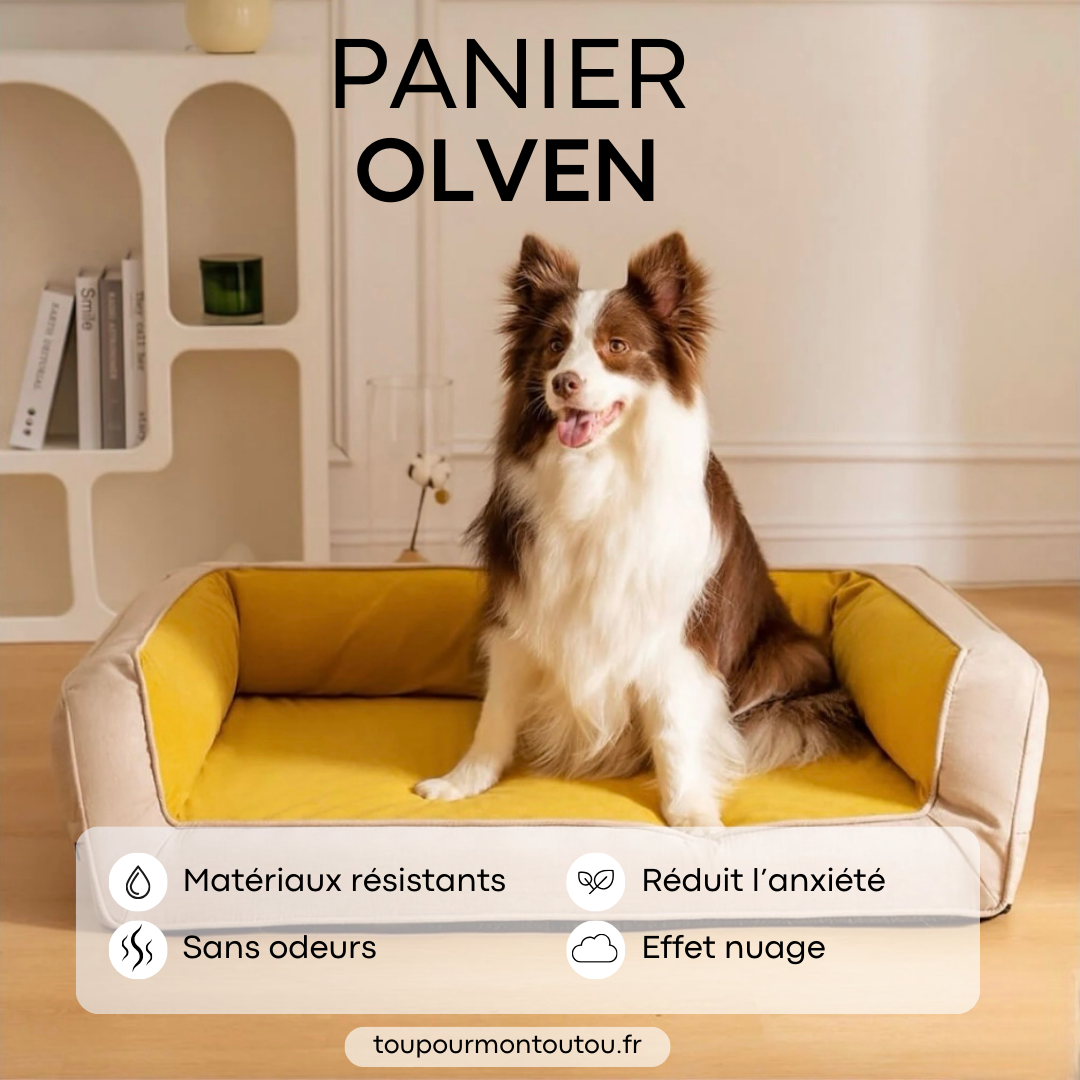 Panier Olven