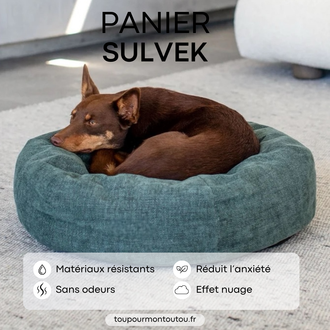 Panier Sulvek