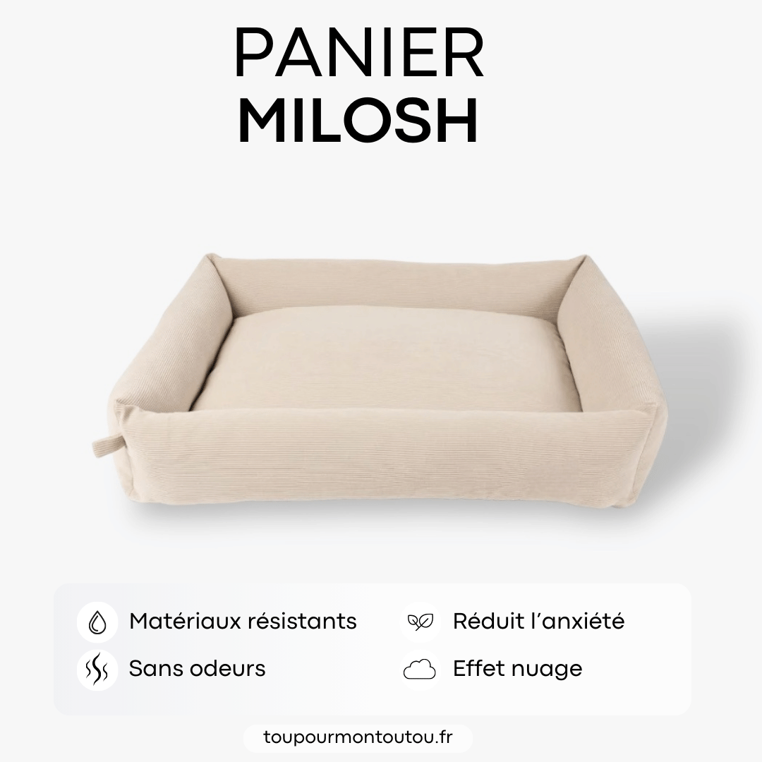 Panier Milosh