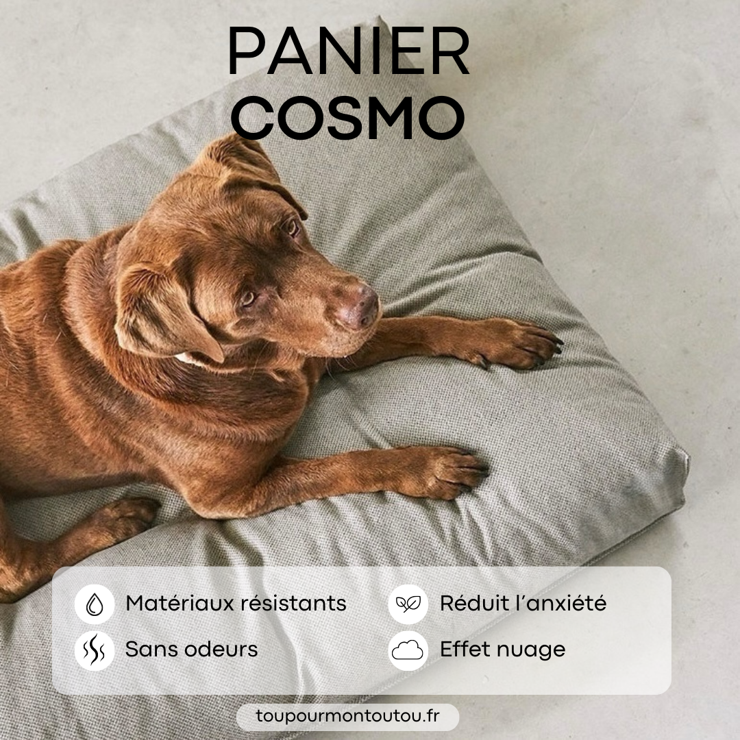 Panier Cosmo