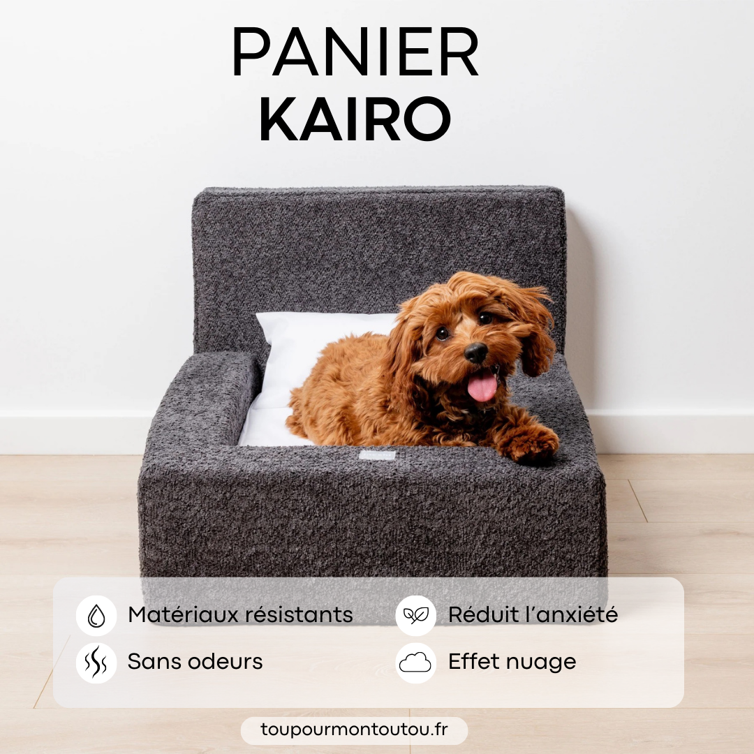 Panier Kairo Noir