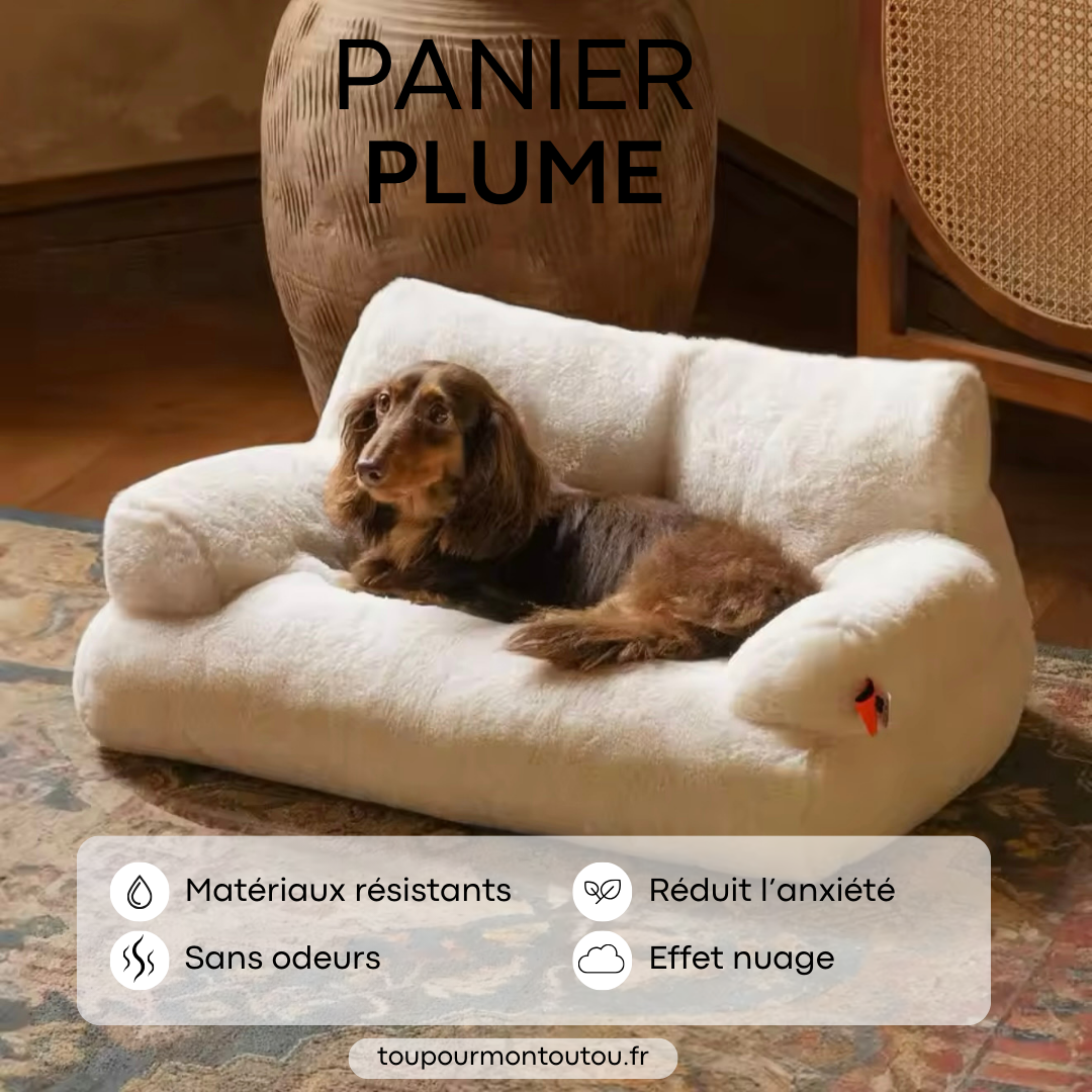Panier Plume