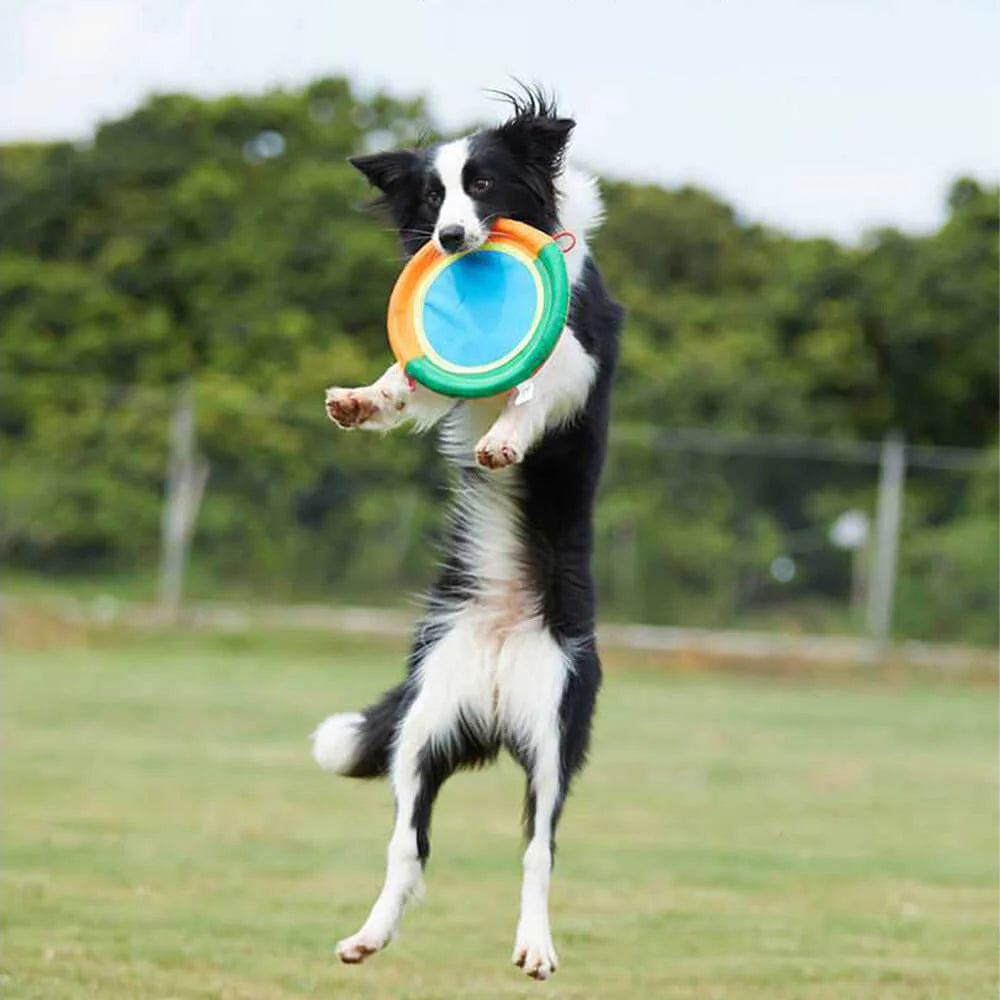 Frisbee Souple en Tissu