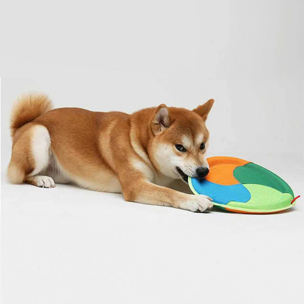 Frisbee Souple en Tissu