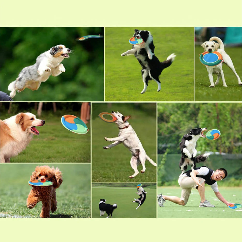 Frisbee Ergonomique pour Chien