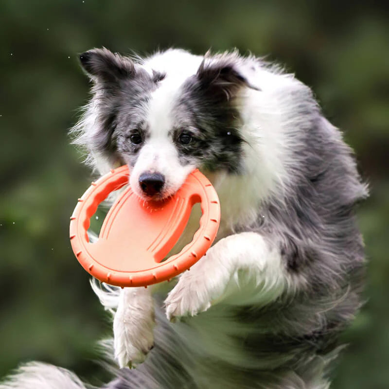 Frisbee Ergonomique pour Chien