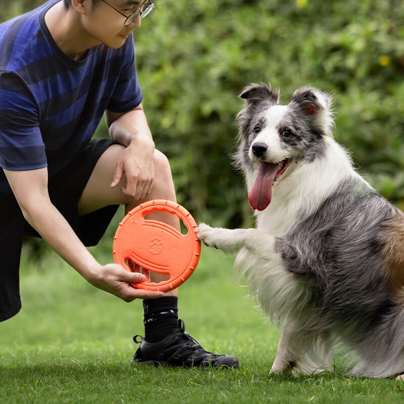 Frisbee Ergonomique pour Chien