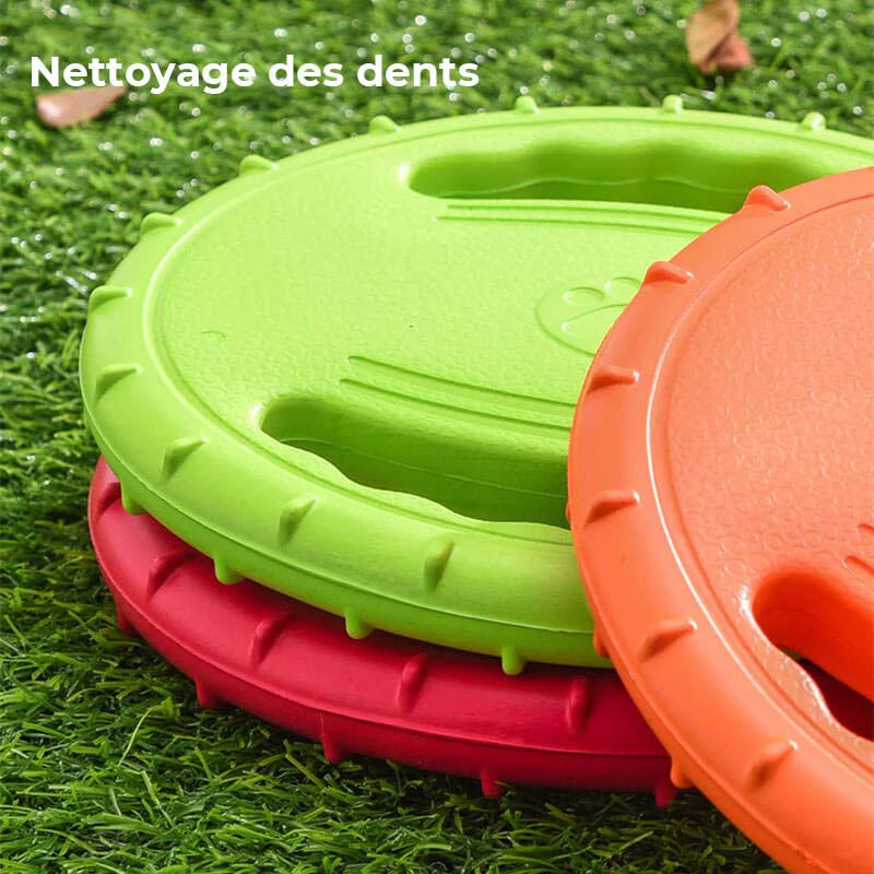 Frisbee Ergonomique pour Chien
