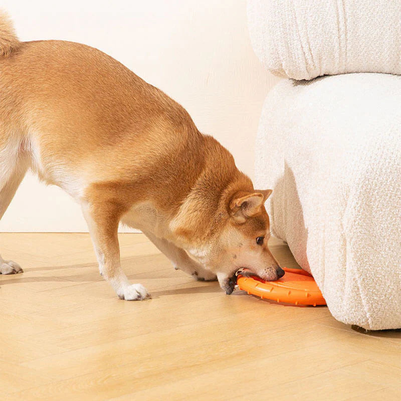 Frisbee Ergonomique pour Chien