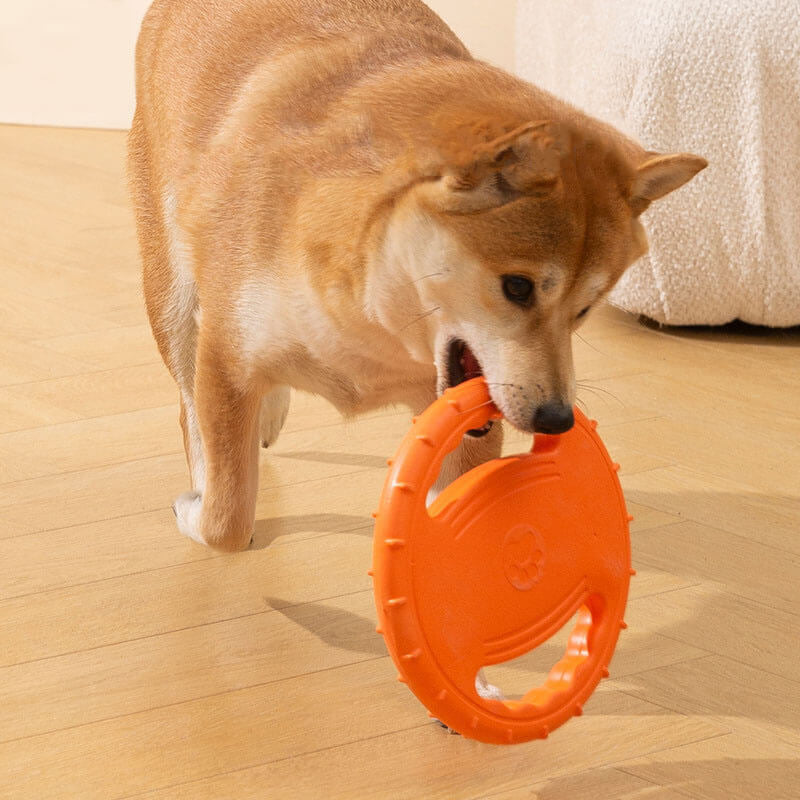 Frisbee Ergonomique pour Chien