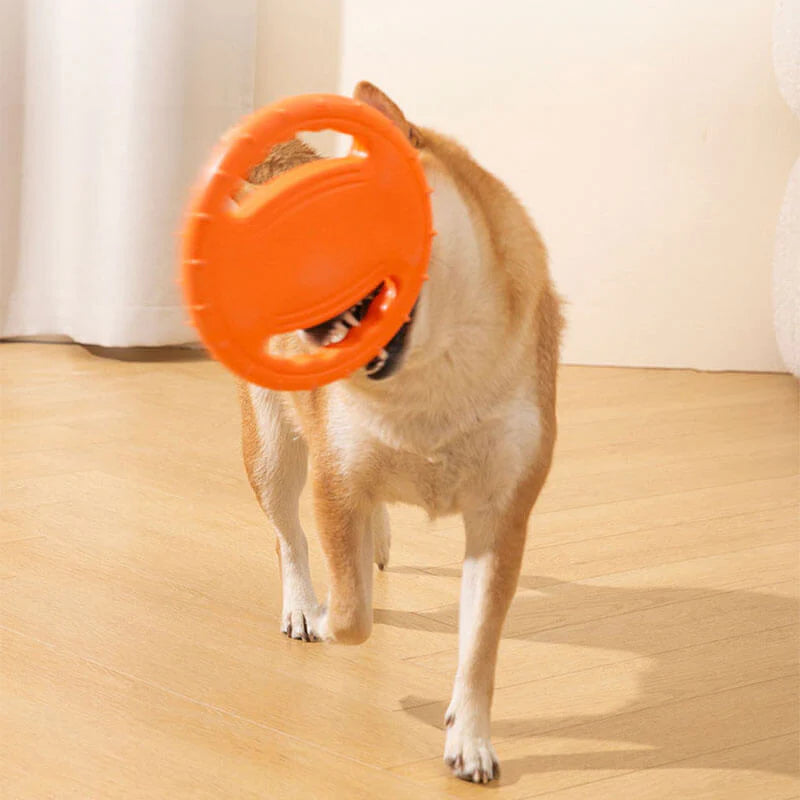 Frisbee Ergonomique pour Chien