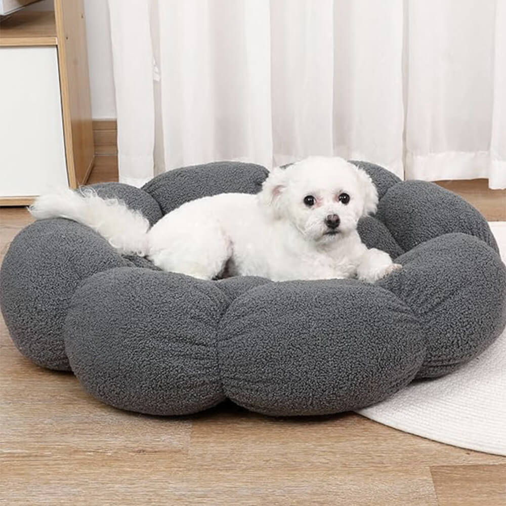Panier Roche BoChien