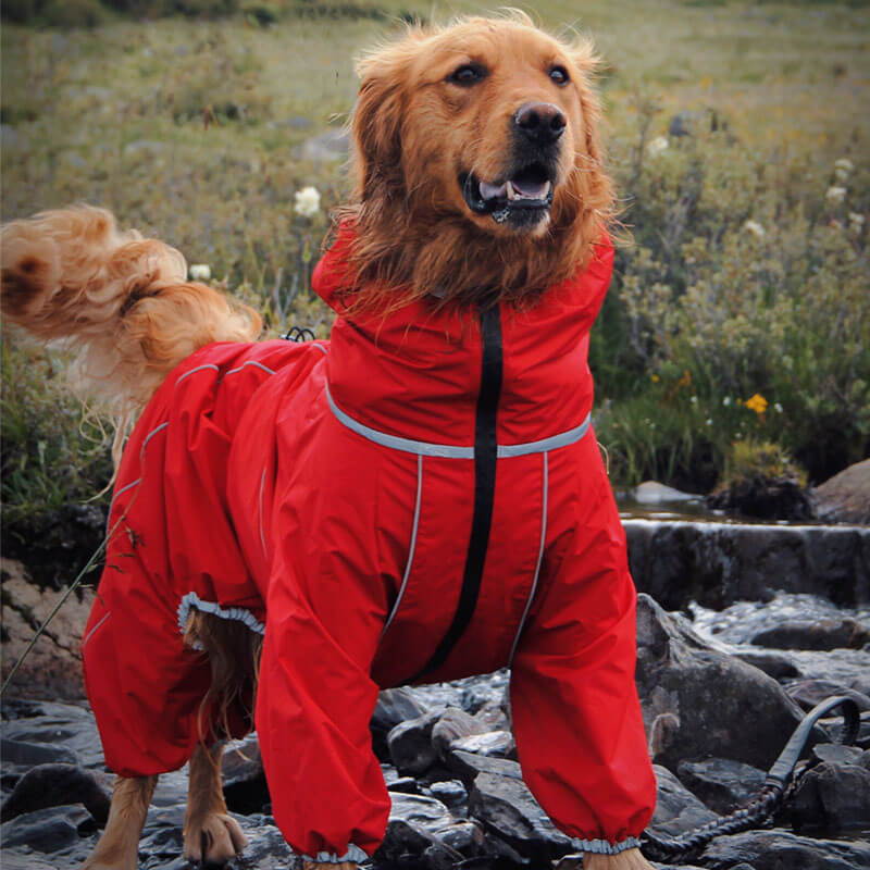 Manteau de pluie Imperméable