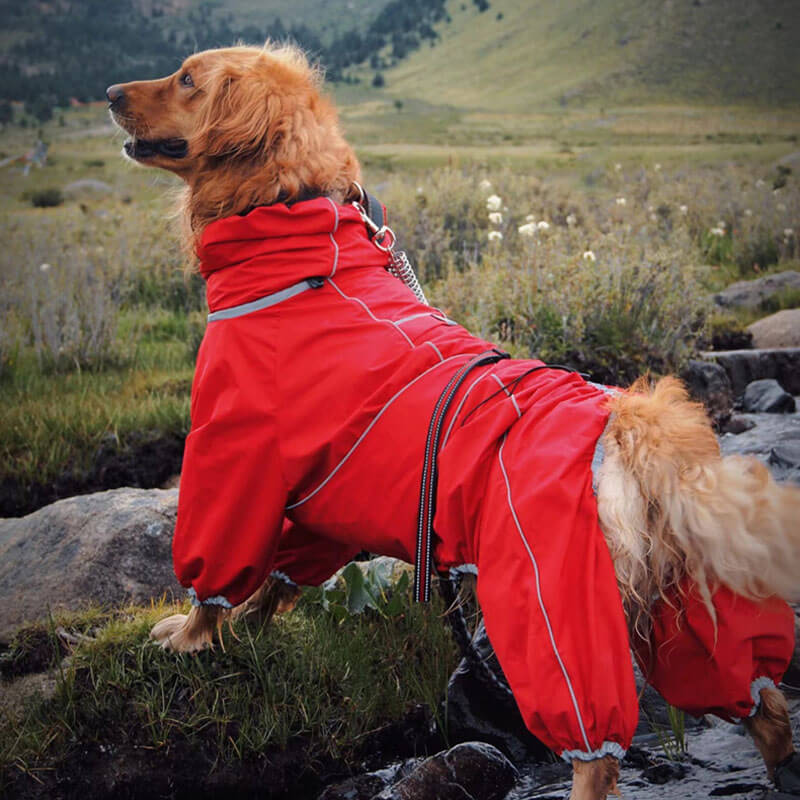 Manteau de pluie Imperméable
