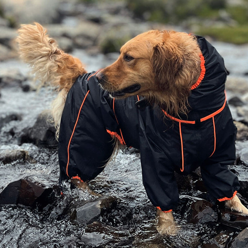 Manteau de pluie Imperméable