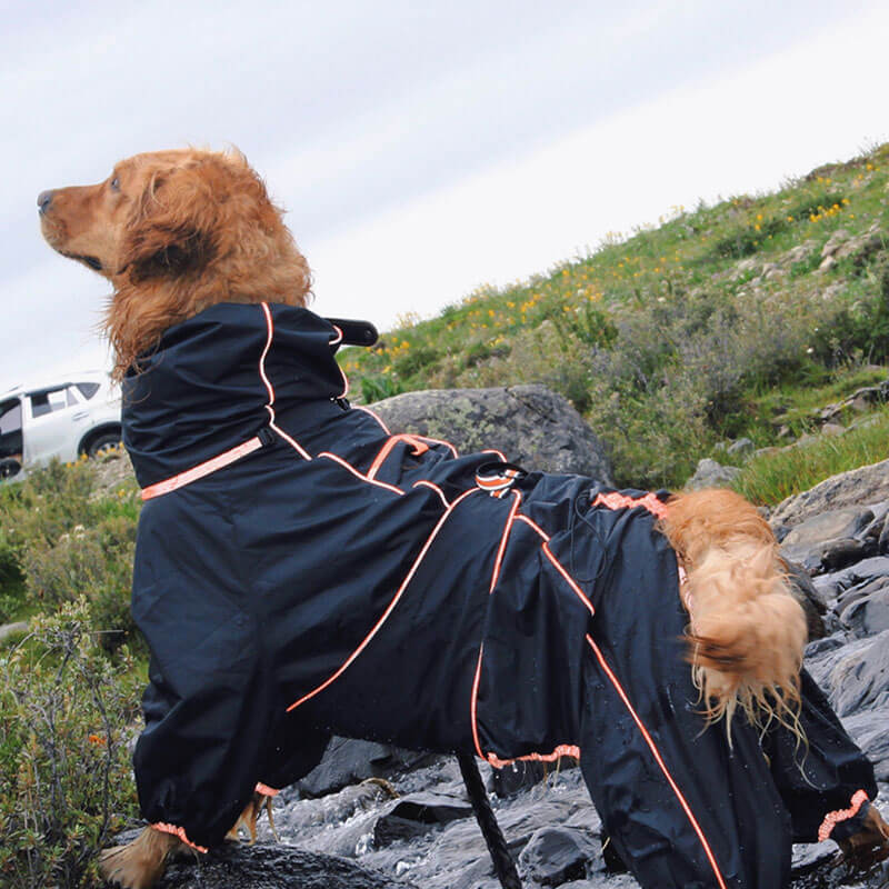 Manteau de pluie Imperméable