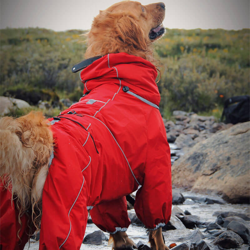 Manteau de pluie Imperméable