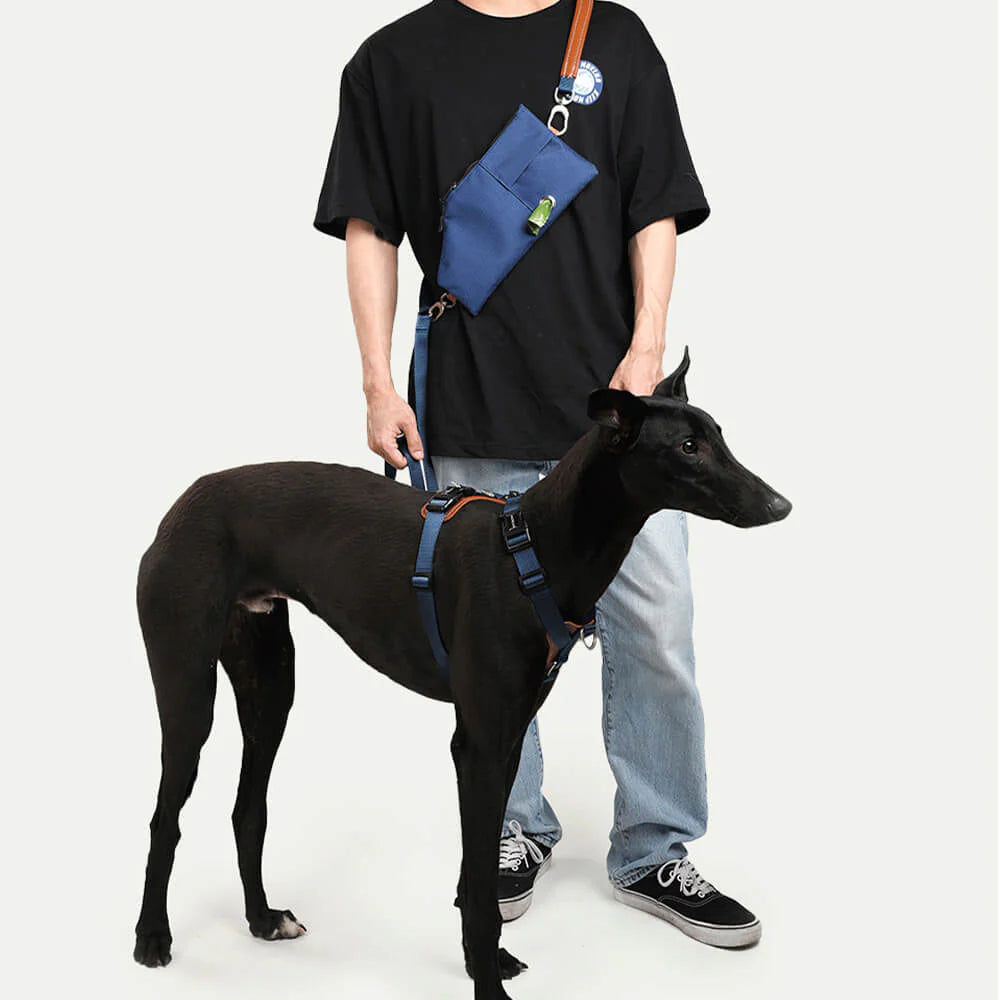Kit de Promenade