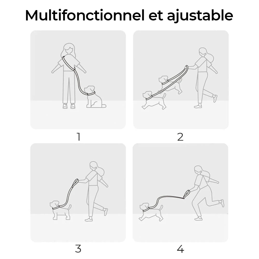 Kit de Promenade