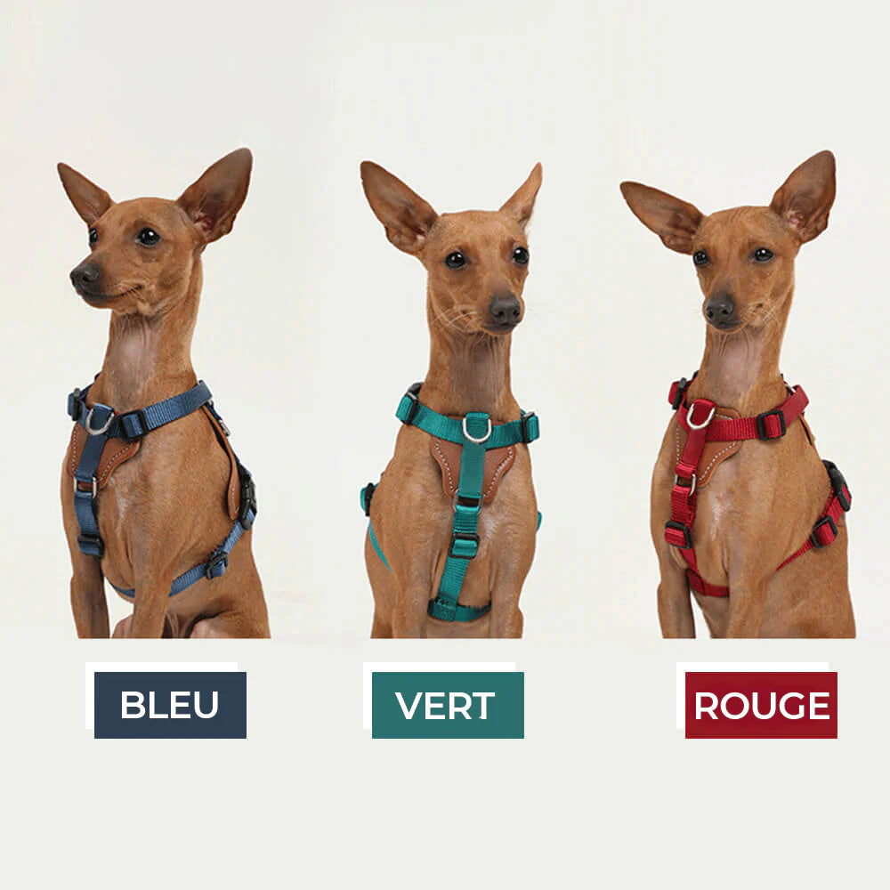 Kit de Promenade