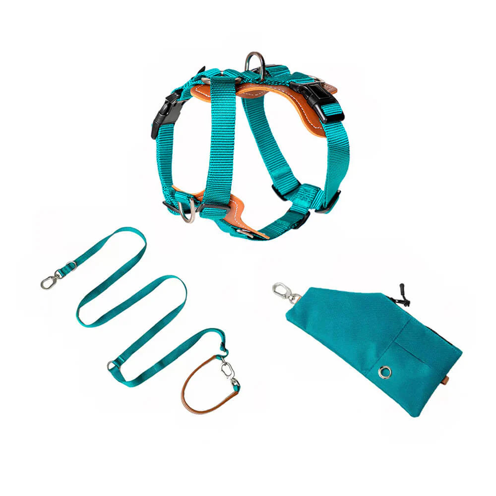 Kit de Promenade