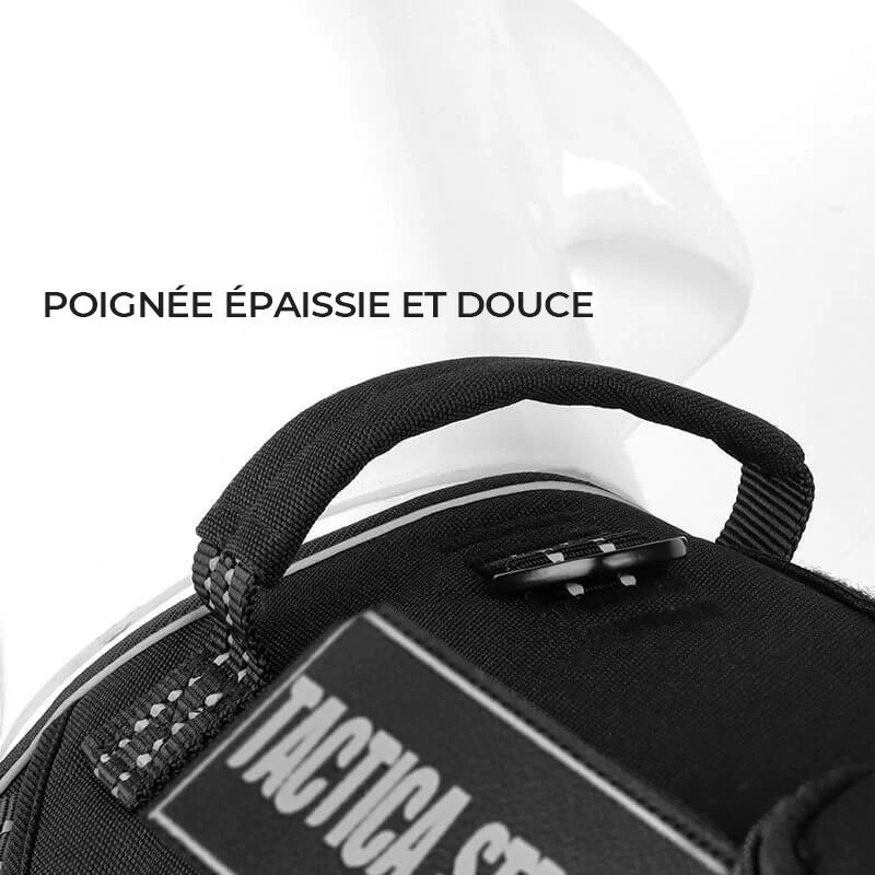 Harnais pour Chiens Sportifs
