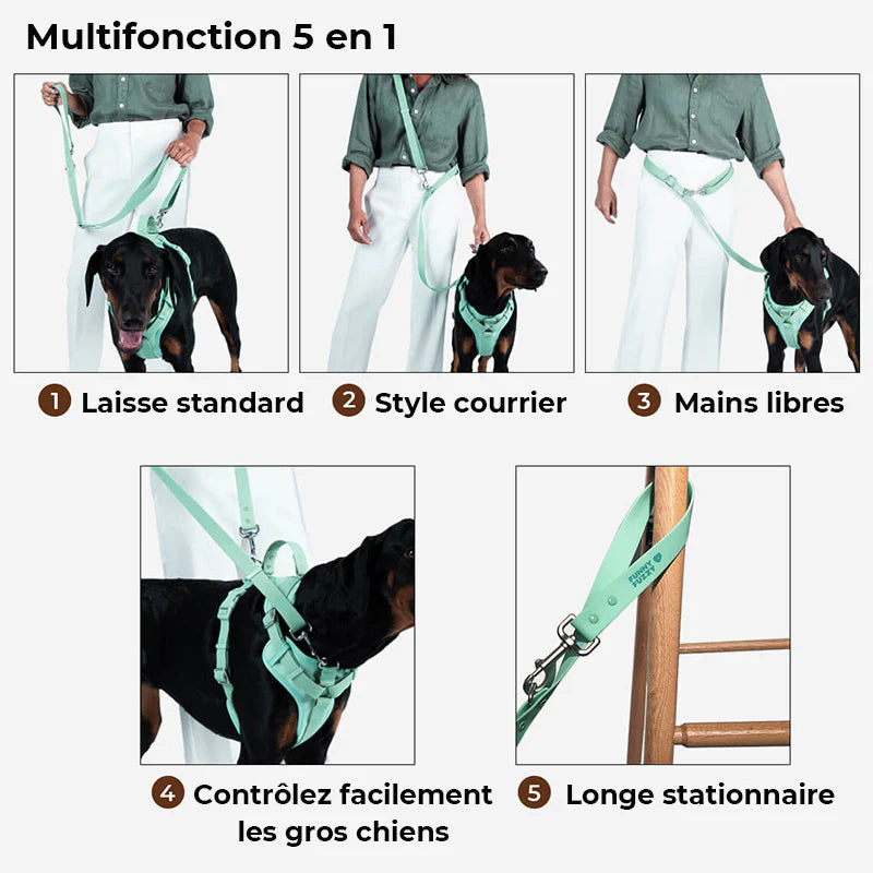 Laisse Multifonctionnelle Zeloy