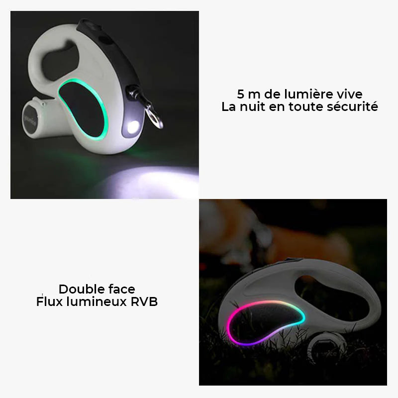 Laisse Rétractable à LED