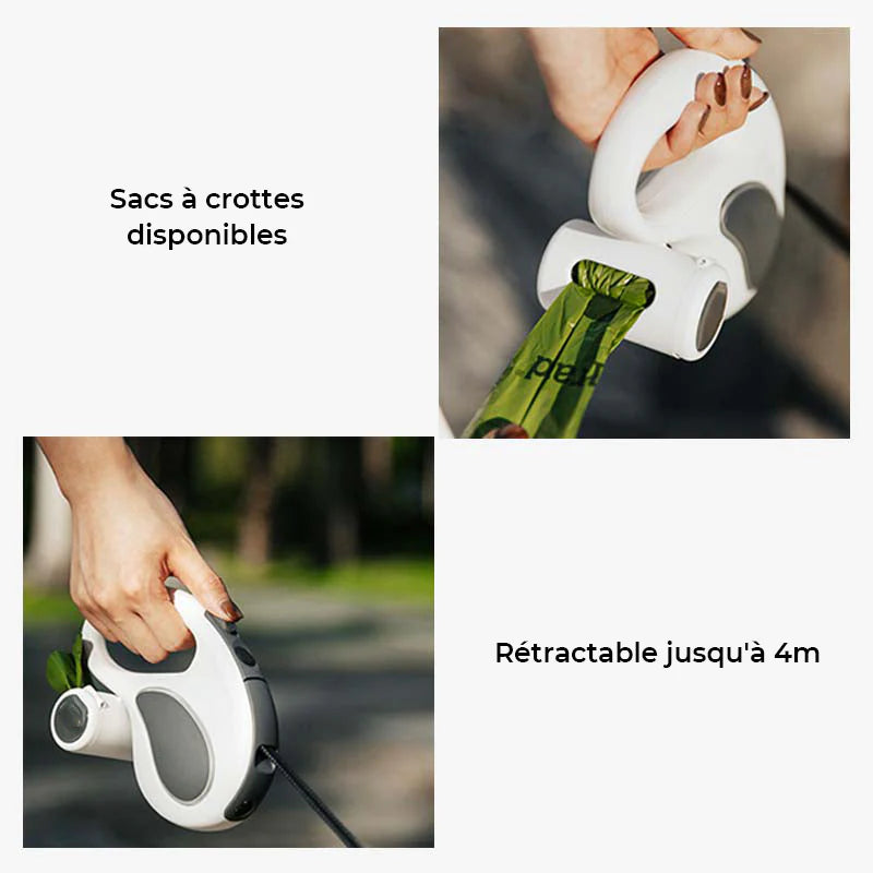 Laisse Rétractable à LED