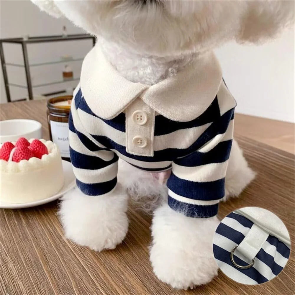 Polo Rayé Swetzy