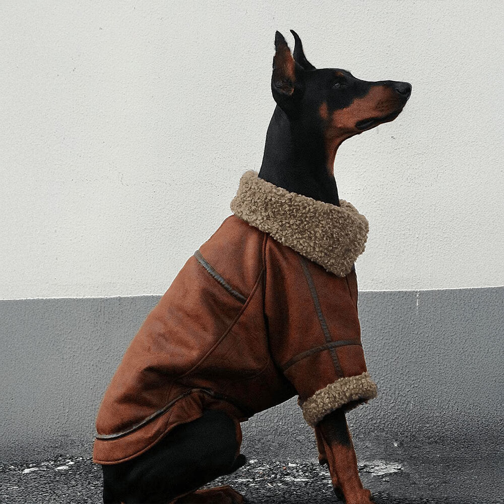 Veste Aviateur Vintage