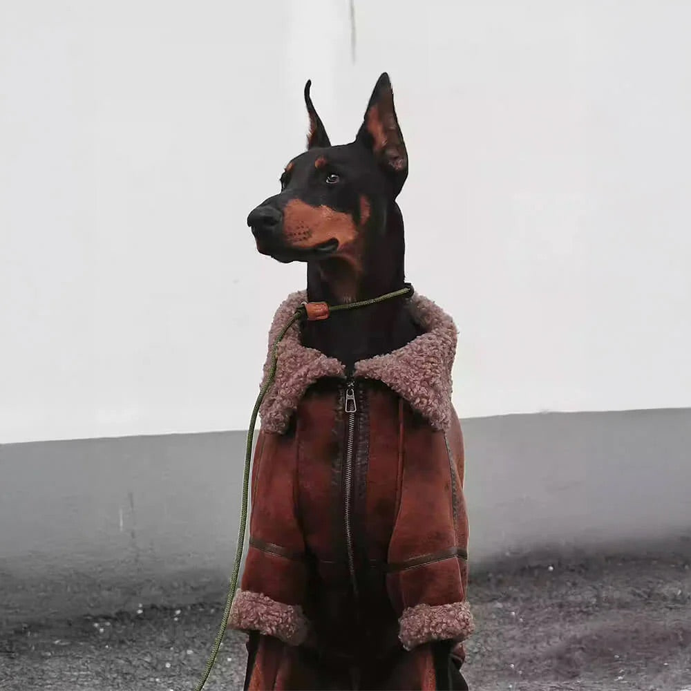 Veste Aviateur Vintage